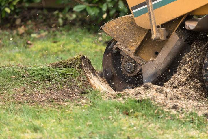 Entretenez votre jardin avec le matériel  adéquat.